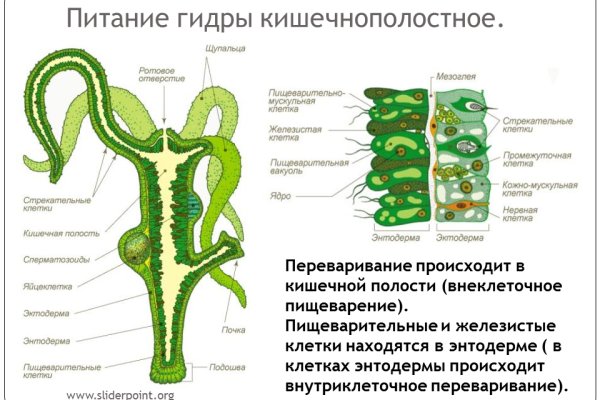 Рабочая ссылка на мега даркнет